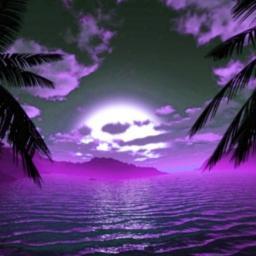 NeaAsia's profile picture. 