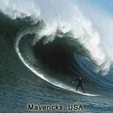 Robert Heath - @toppnnystckpics - Twitter