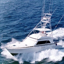 fdi428's profile picture. Attorney/Real Estate developer
My true passion is sport fishing boats