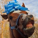 Mark Mortensen - @poniesarelife - Twitter