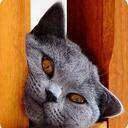 jane macaskill - @janemacaskill - Twitter