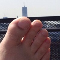 The Tuna (@originaltuna) 's Twitter Profile