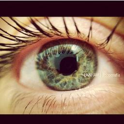 potterpantsdani's profile picture. wanderlust. happiness can be found even in the darkest of times, if only one remembers to turn on the light.