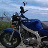 lboaman's profile picture. 