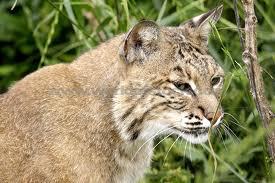 ddavis0089's profile picture. Educator, coach, husband, dad.