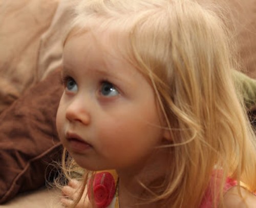 xScarlettG's profile picture. Scarlett Gregory. 4 years old. Looking for a place in the big world.