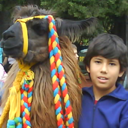cesar