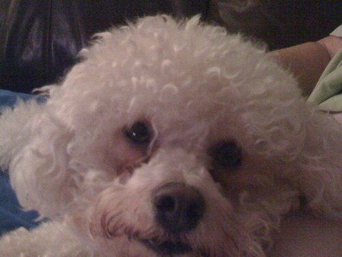 LisbethMcLean's profile picture. Former/future actress, currently waiting for the right part. I love LA.