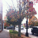 Carla Cote - @CarCote - Twitter