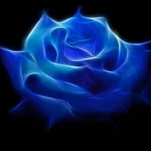 no bio sweethearts....Live Laugh Love...dont have much to say so peace.!.! :)
