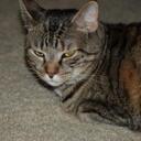 Beth Lutz - @bpl001 - Twitter