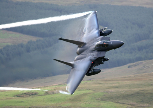 sultanshar3's profile picture. 