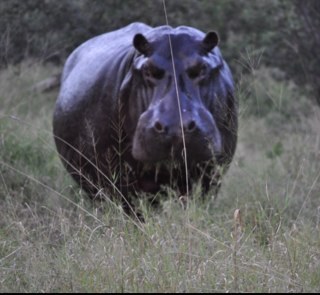 richfromwb's profile picture. 