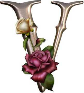 Vialu21's profile picture. Mi pasión es leer  ❤️