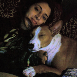 Psychick22Live's profile picture. 