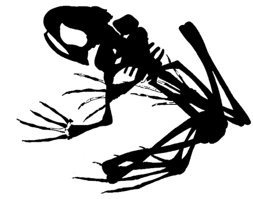 salamilami's profile picture. 