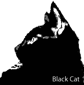 Black Cat Artsさんのプロフィール画像