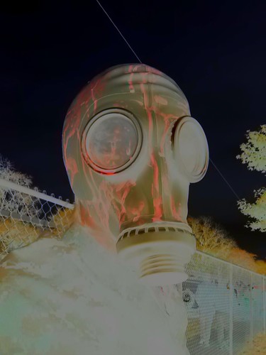 DermottCarr's profile picture. 