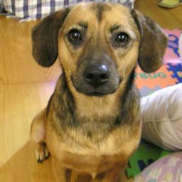 smartgo723's profile picture. 