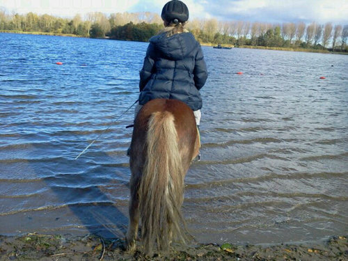 xJoyax's profile picture. Dit is het officiële twitteraccount van Joya Witschge