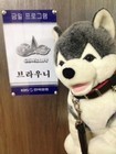 성공하는 사람들은 자기가 바라는 환경을 찾아낸다. 발견하지 못하면 자기가 만들면 된다. -조지 버나드 쇼