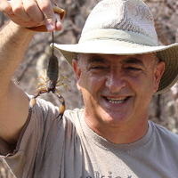 Johan Marais (@reptileventures) 's Twitter Profile