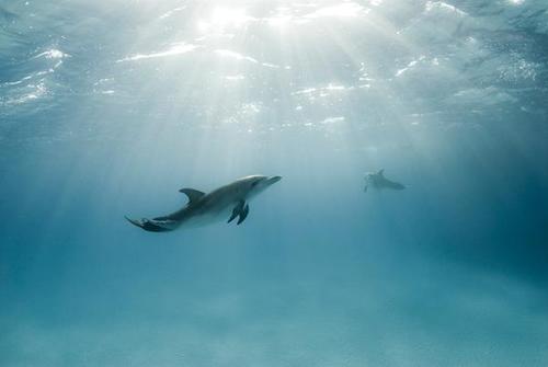 Life5Travel's profile picture. I tweet life ;)