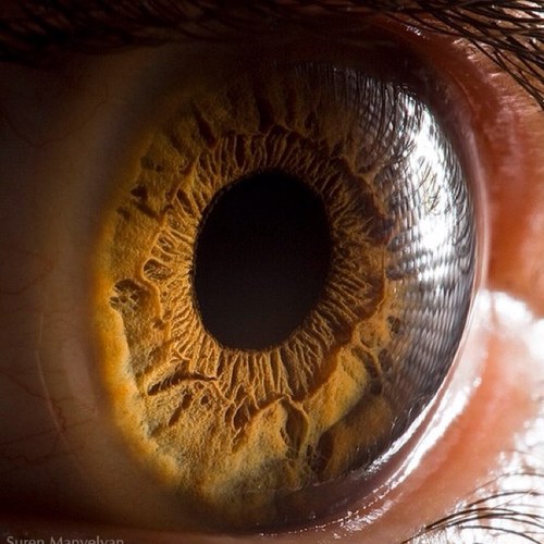 374vox's profile picture. えげつないほどピュアピュア