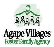 We are a non-profit agency that places foster children in loving and stable homes.