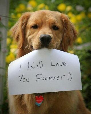 Body___Language's profile picture. 