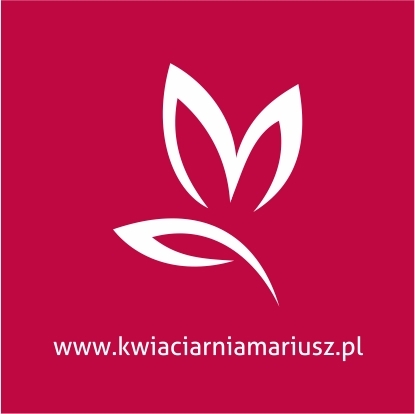 kwiaty_mariusz's profile picture. Wykonujemy niepowtarzalne bukiety i profesjonalne aranżacje kwiatowe w najnowszych trendach florystycznych. Realizujemy zlecenia telefoniczne oraz internetowe.