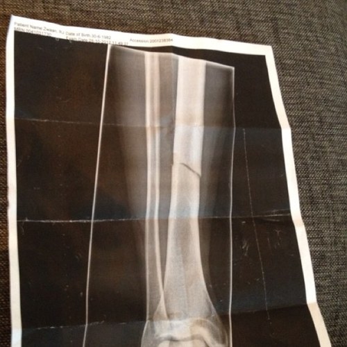 Rutgerzwaan1's profile picture. 