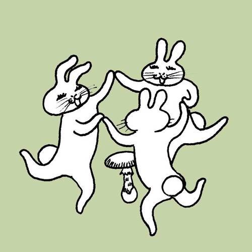 shuko.kさんのプロフィール画像