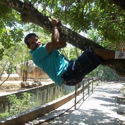 domingo58's profile picture. 