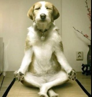 marko64h's profile picture. Fan of Liverpool FC and Port Adelaide FC.