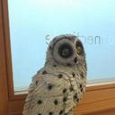 Hans Paulson - @PaulsonHans - Twitter