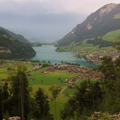 fantasia_tours's profile picture. 