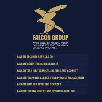 consortium falcon