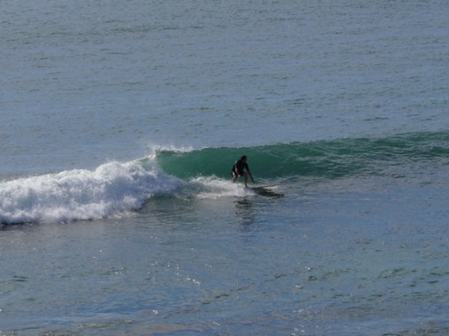 haytocd's profile picture. 