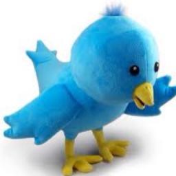 le_saviez's profile picture. Tout ce qu'il faut savoir.