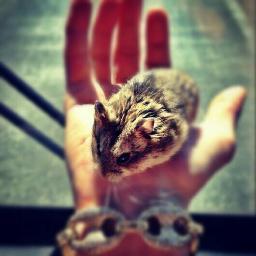 themanpacbieber's profile picture. 