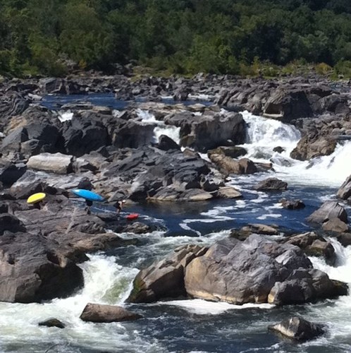 tara226's profile picture. 