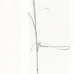 Thinking Is Form Thinkingisform Twitter