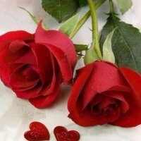 رضوان من الله (@fati20051) 's Twitter Profile