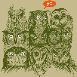 followback!