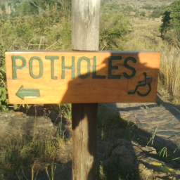 selbieg's profile picture. 