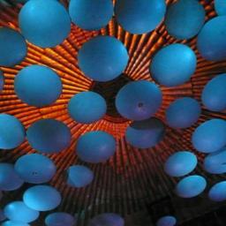 CroweGarden's profile picture. Garden designer... mostly... fully paid-up member of the asylum ... random ramblings... full time pedant...