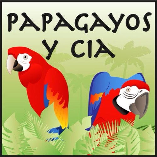 Papagayos y Cía. es la tienda de Madrid especializada en loros papilleros: guacamayos, yacos, cacatúas, caiques, pyrruras... Y todo lo que tu loro necesita.