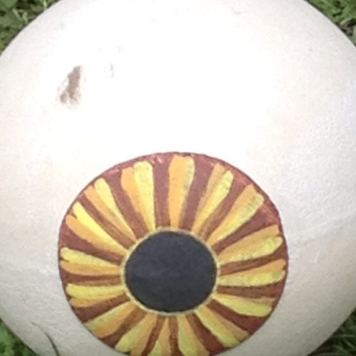 irelandseoin's profile picture. Normal person.