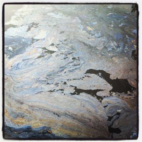 TheGowanusCanal's profile picture. i am disgusting.  and today i am reborn.